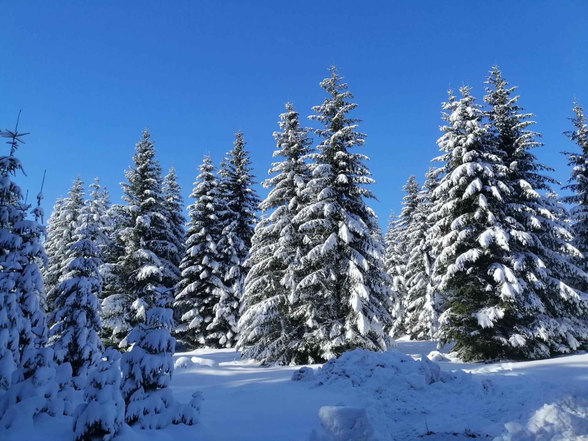 M&K Chalets جابلياك المظهر الخارجي الصورة