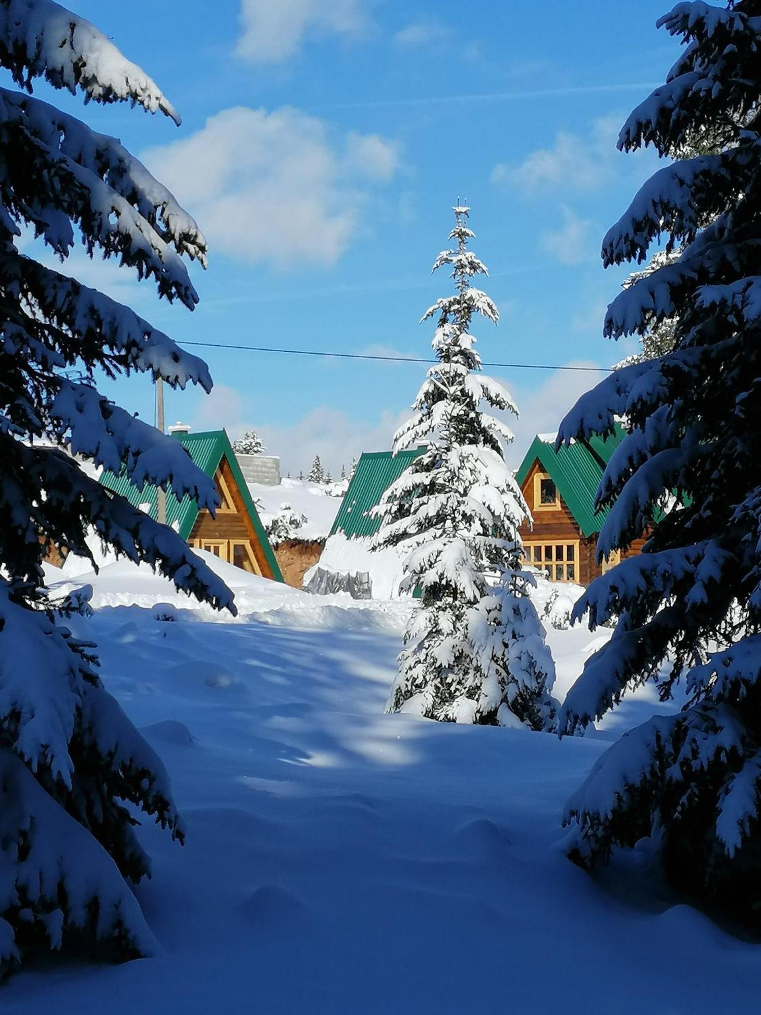 M&K Chalets جابلياك المظهر الخارجي الصورة